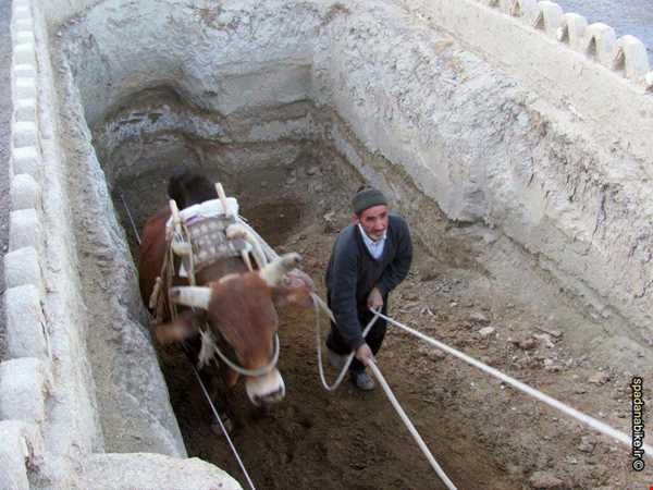 گاوچاه، سنتی‌ترین روش آبکشی از چاه در شهر ورزنه