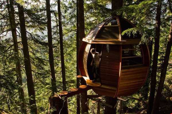 خانه درختی شبیه به تخم مرغ در جنگل‌های کانادا