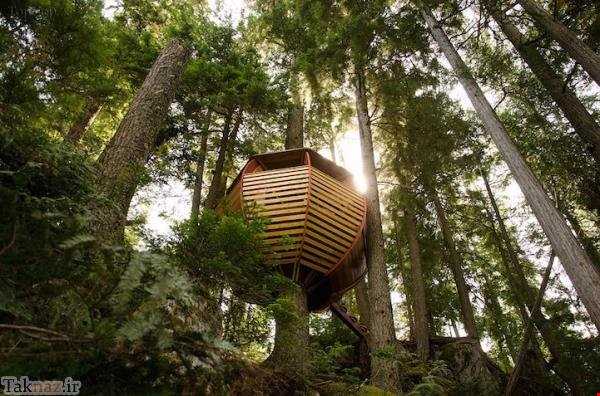 خانه درختی شبیه به تخم مرغ در جنگل‌های کانادا