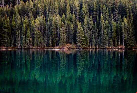 تصاویر شگفت‌انگیز از طبیعت کانادا