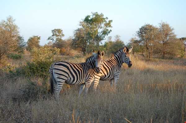 یکی از بزرگترین پارک‌های ملی قاره آفریقا