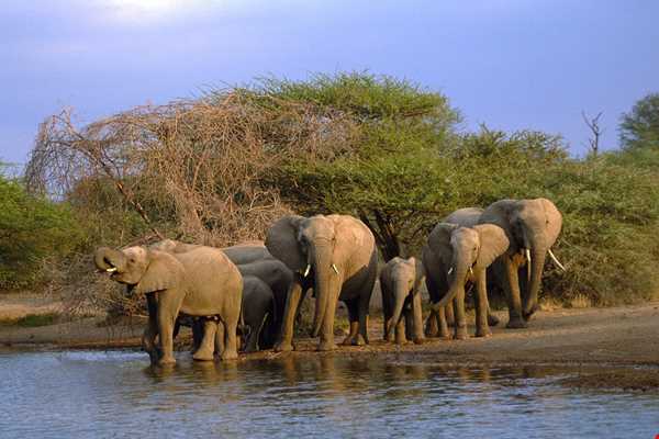 یکی از بزرگترین پارک‌های ملی قاره آفریقا