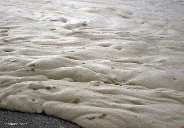 ساحل کاپوچینو پدیده نادری که هر 10 سال یکبار دیده می‌شود