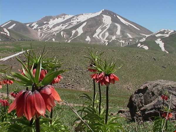سهند؛ عروس کوه‌های ایران