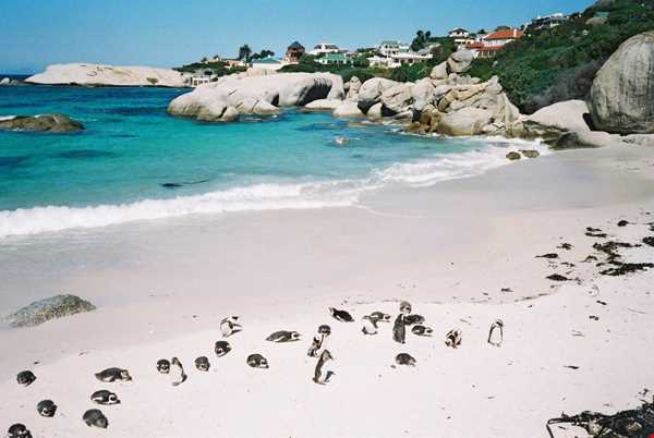سواحل زیبای آفریقای جنوبی
