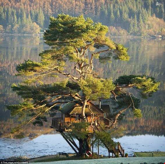 رمانتیک‌ترین خانه درختی