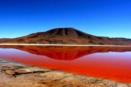 تالاب خونین شیلی