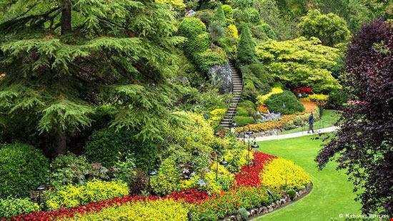 باغی زیبا در ونکوور کانادا