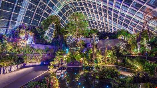 یک باغ خارق العاده در سنگاپور