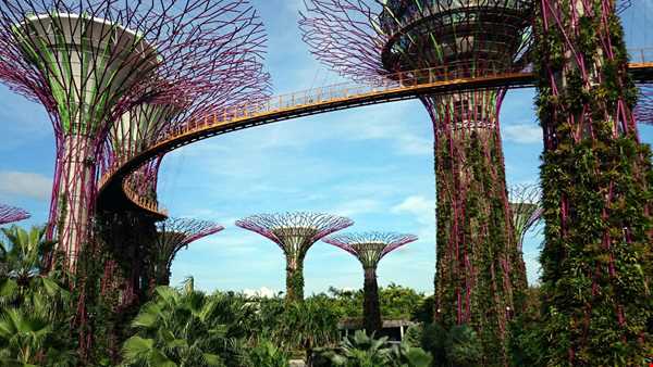 یک باغ خارق العاده در سنگاپور