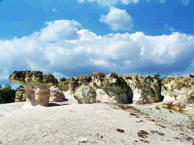 برگترین قارچ سنگی دنیا