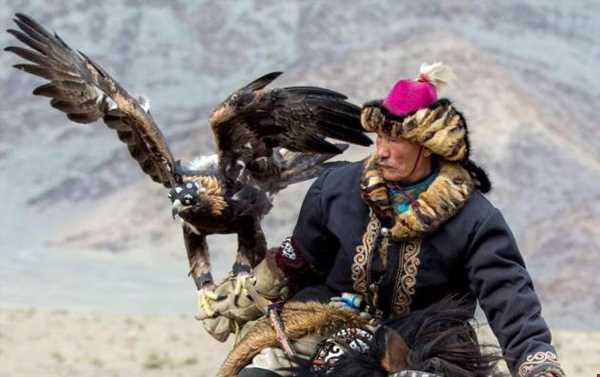جشنواره عقاب طلایی در مغولستان