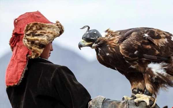 جشنواره عقاب طلایی در مغولستان