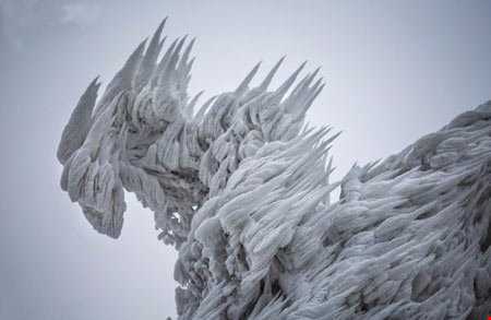 مجسمه‌های شگفت انگیز یخ زده