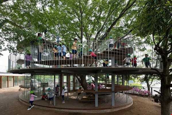 ساختن مهد کودک بر روی یک درخت در ژاپن