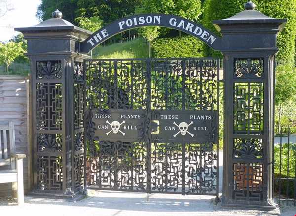 اولین باغ مخصوص گیاهان سمی در انگلستان