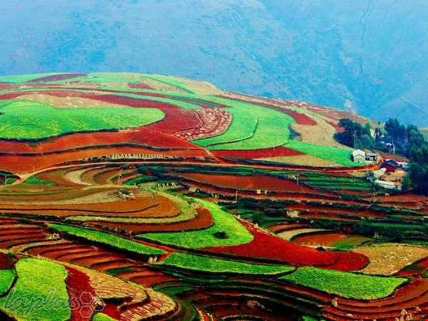 مزرعه رویایی دونگ چوآن در چین
