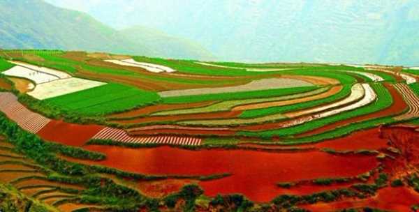 مزرعه رویایی دونگ چوآن در چین