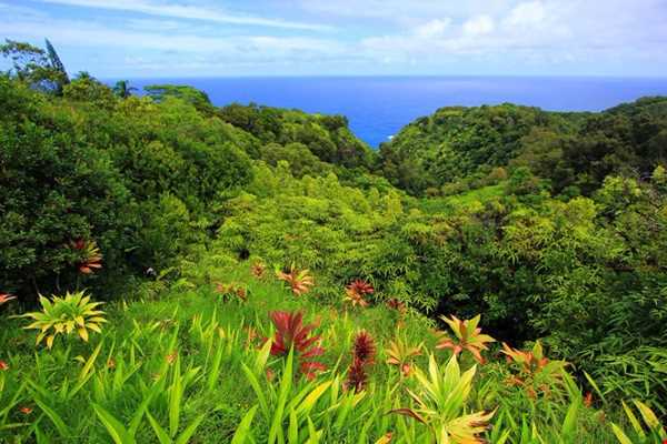 زیباترین جزیره در مجمع الجزایر هاوایی