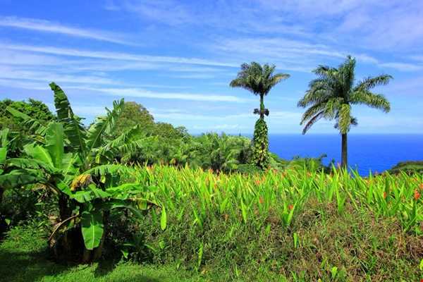 زیباترین جزیره در مجمع الجزایر هاوایی