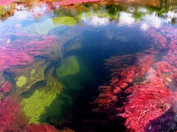 رودخانه رنگین کمان