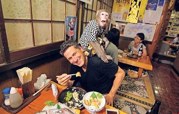 رستوران ژاپنی که میمون‌ها غذا سرو می‌کنند