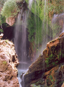 چشمه ناز ونک