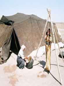 Traditional housing