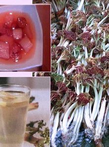 Rhubarb