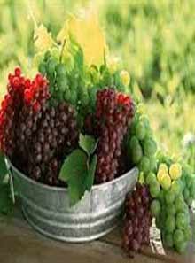 Raisins