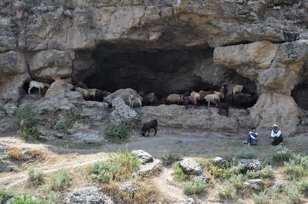 Image result for u202bروستای گنزقu202c
