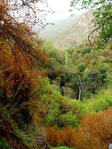 روستای دشه