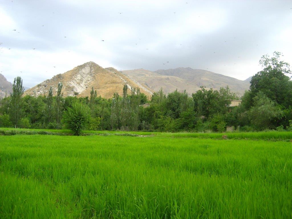 روستای ایدلیک