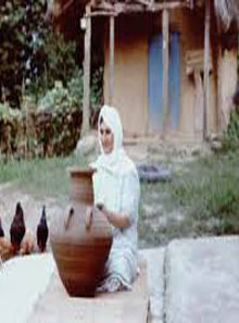 Gilani yoghurt