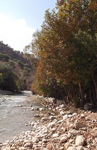 تنگ مهریان