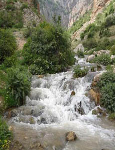 روستای دراسله