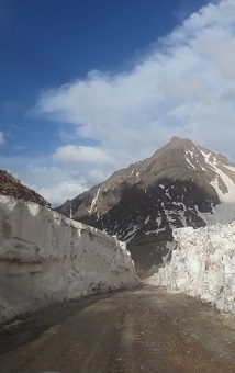 گردنه بیژن