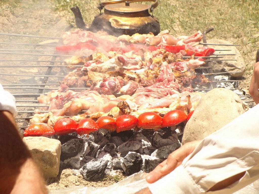 Image result for ‫کباب چهارمحال و بختیاری‬‎