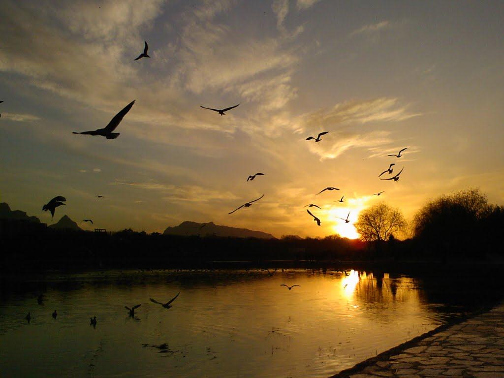 Gulcin TunÃÂ§ok desktop Wallpapers