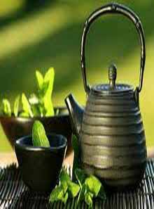 Lahijan Tea