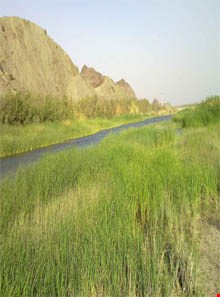 رودخانه ماشکید (ماشکل)