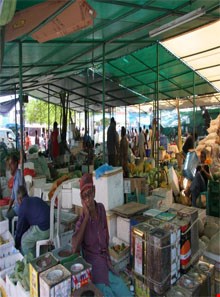 Fruit and fish markets