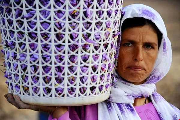 شبکه اجتماعی گردشگری تیشینه شبکه اجتماعی گردشگری تیشینه