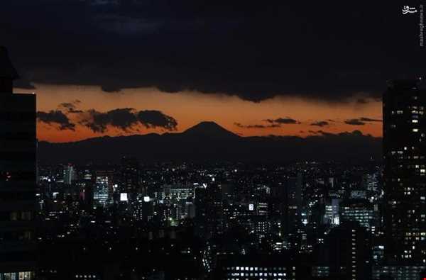 شب‌های بهاری توکیو