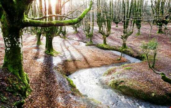 پارکی زیبا و رویایی در اسپانیا