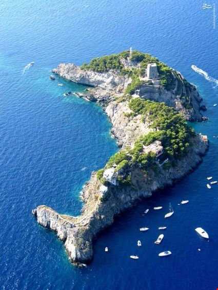 جزیره ای به شکل دلفین