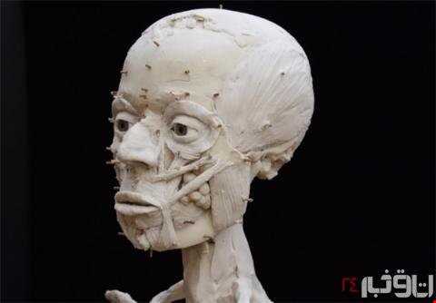 بازسازی چهره مرد ۹۵۰۰ ساله