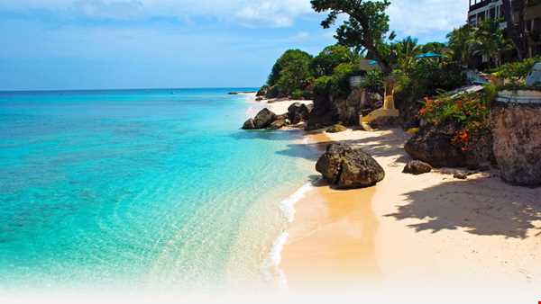 جزیره بکر باربادوس