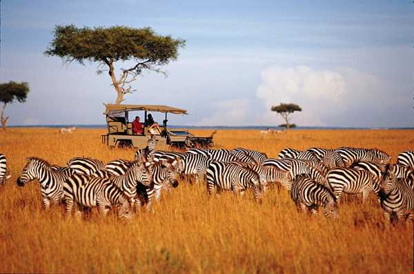 سافاری در تانزانیا