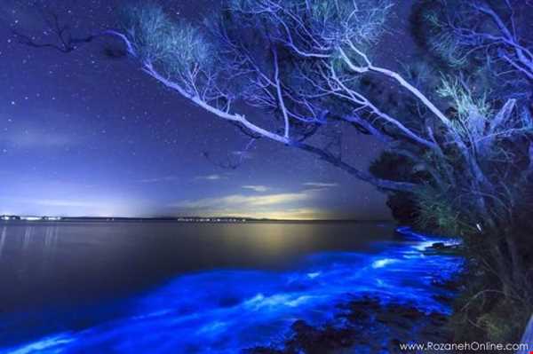 خلیج جرویس، نیو ساوت ولز، استرالیا